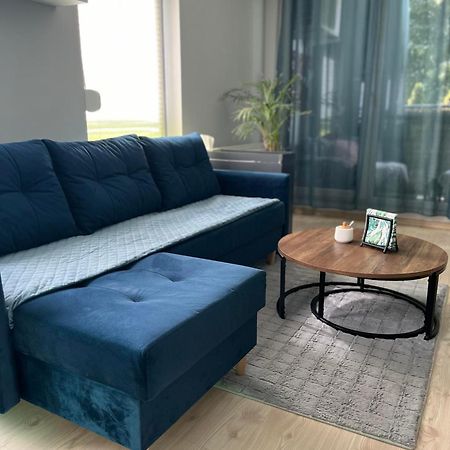 Apartament U Buni Wroclaw Dış mekan fotoğraf